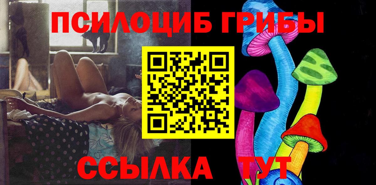 Галлюциногенные грибы Psilocybe Бор